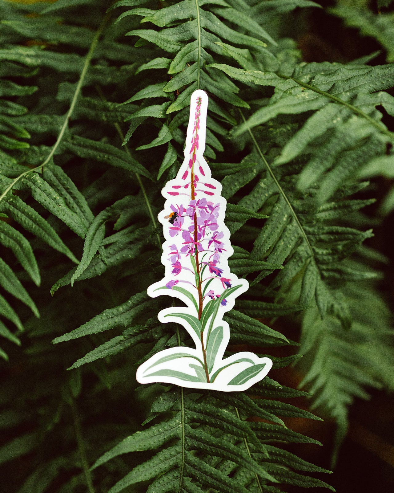 Fireweed Sticker