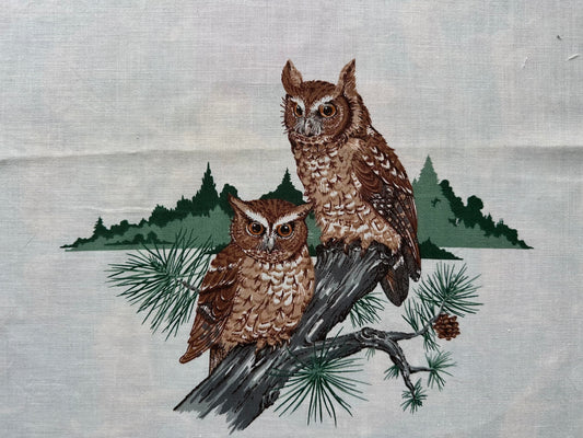 Sewn to Order: Eastern Screech Owls