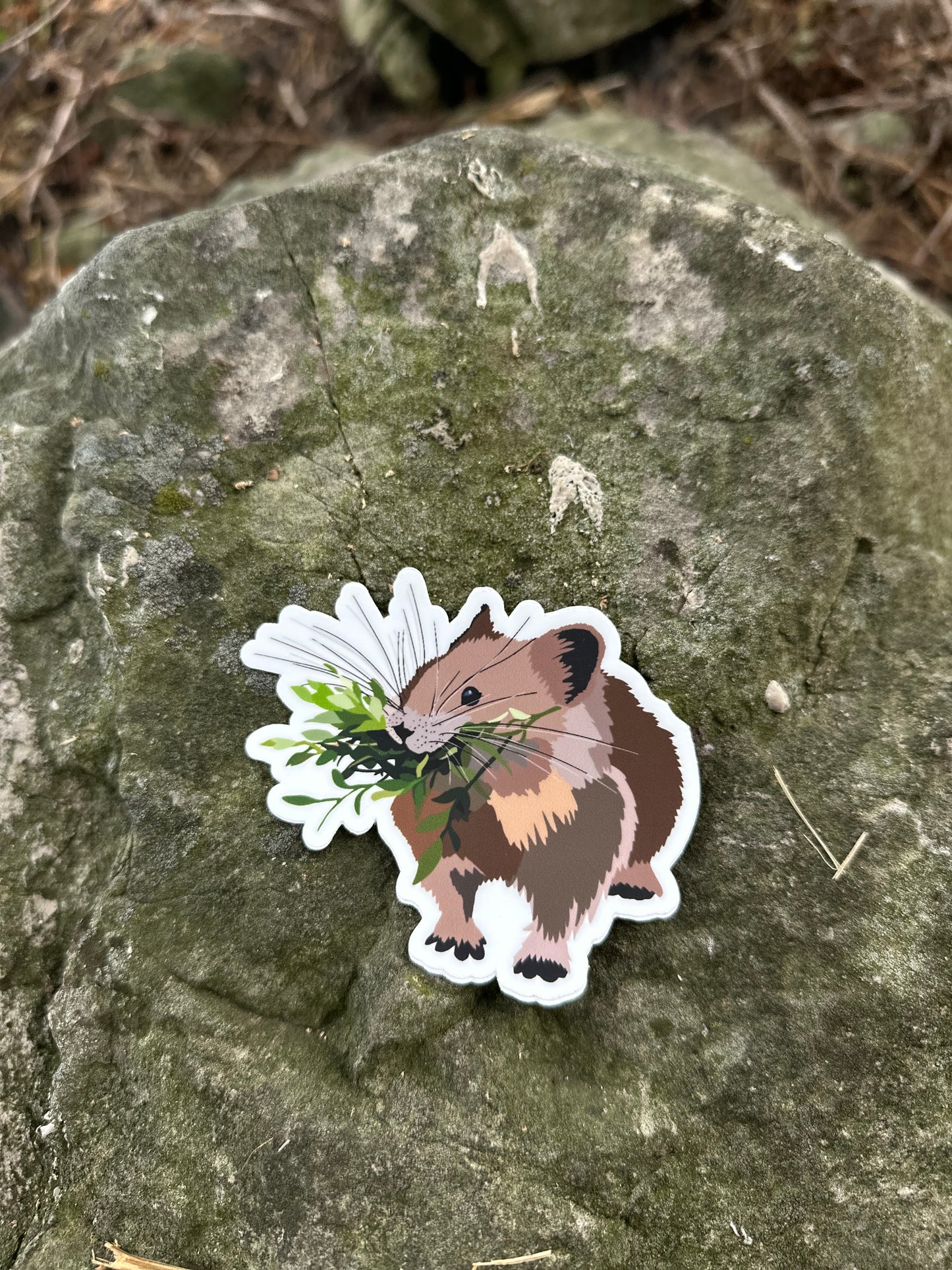 Pika Sticker