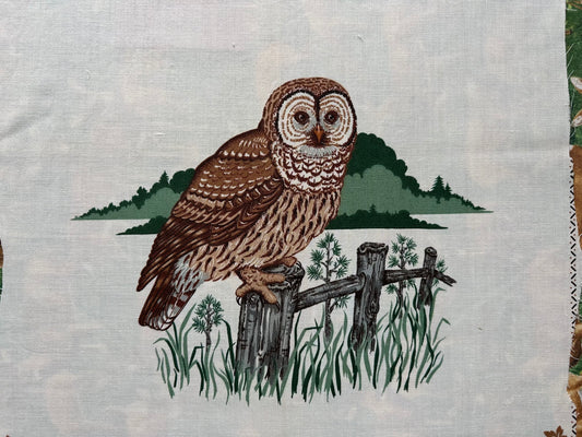 Sewn to Order: Barred Owl