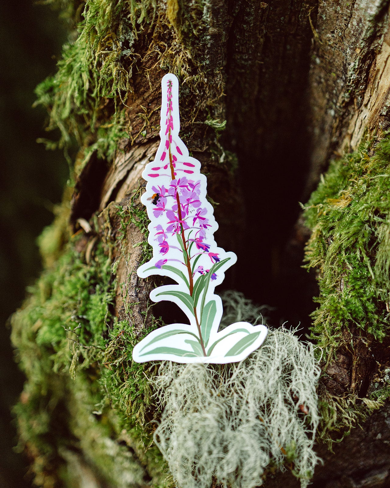 Fireweed Sticker