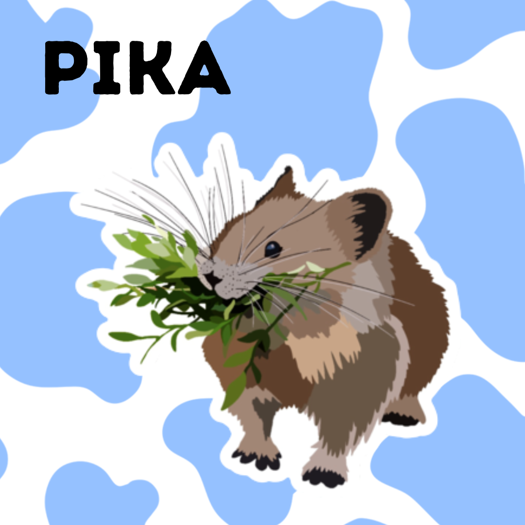 Pika Sticker